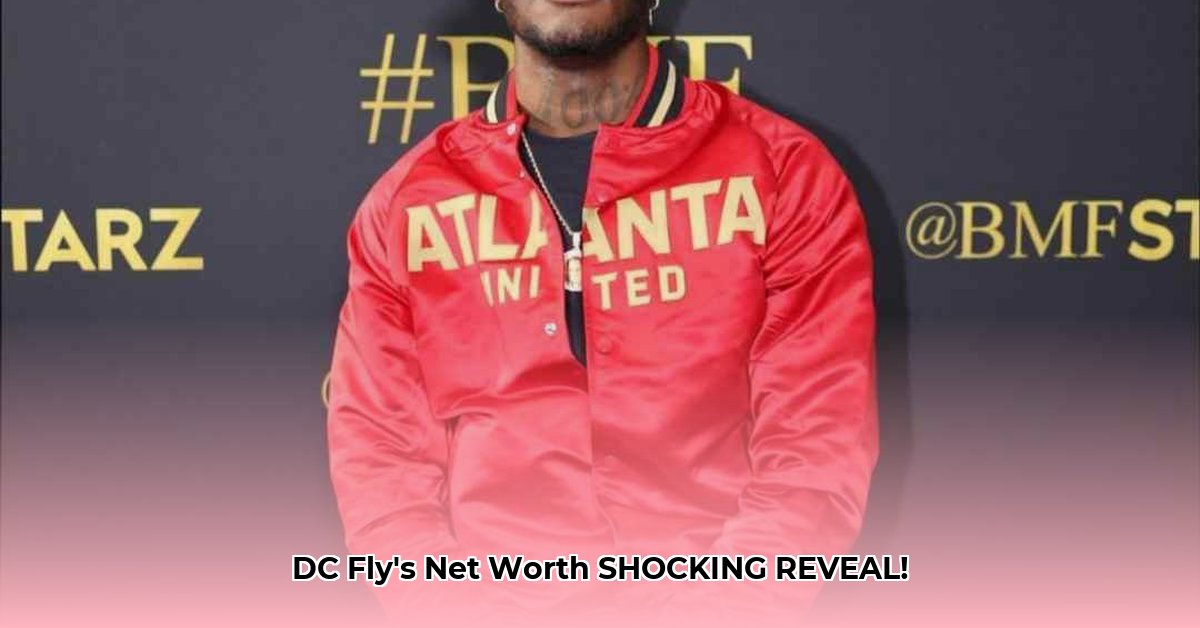 dc-fly-net-worth